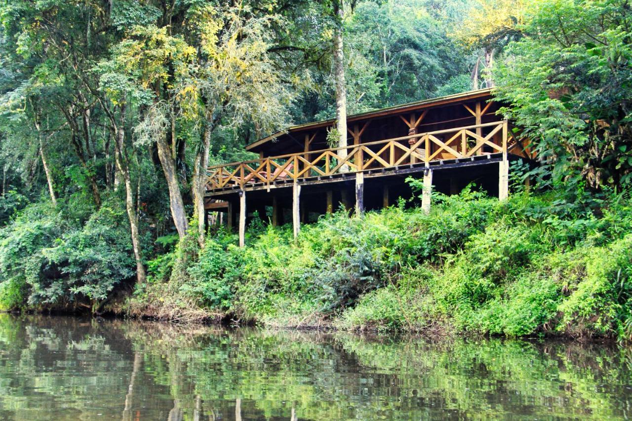 Margay - Reserva Natural Y Lodge De Selva El Soberbio Exterior foto